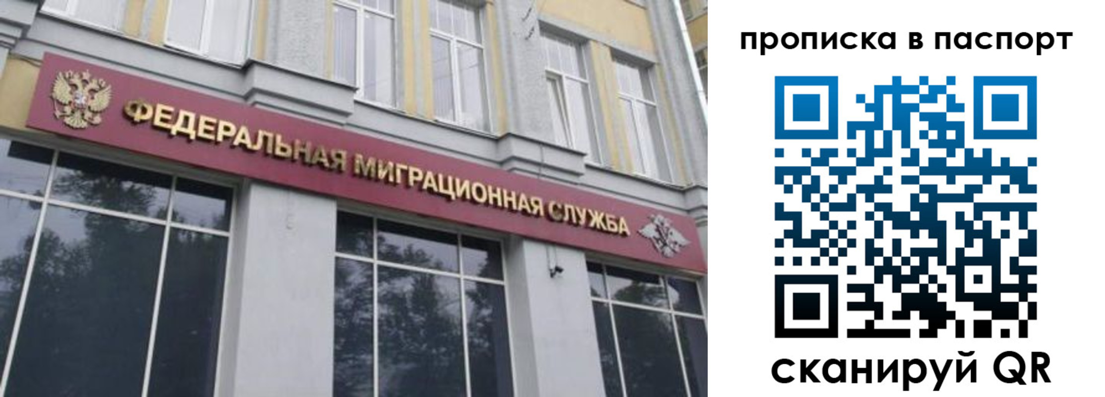 где прописаться в Елизово