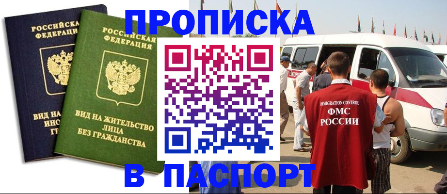 прописка в Елизово